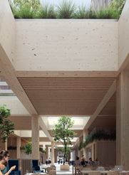 Ny viden om træbyggeri